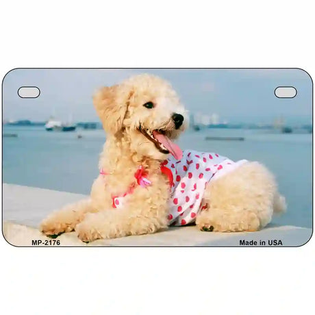 Poodle Dog Metal Novelty License Plate 7" x 4" (MP)