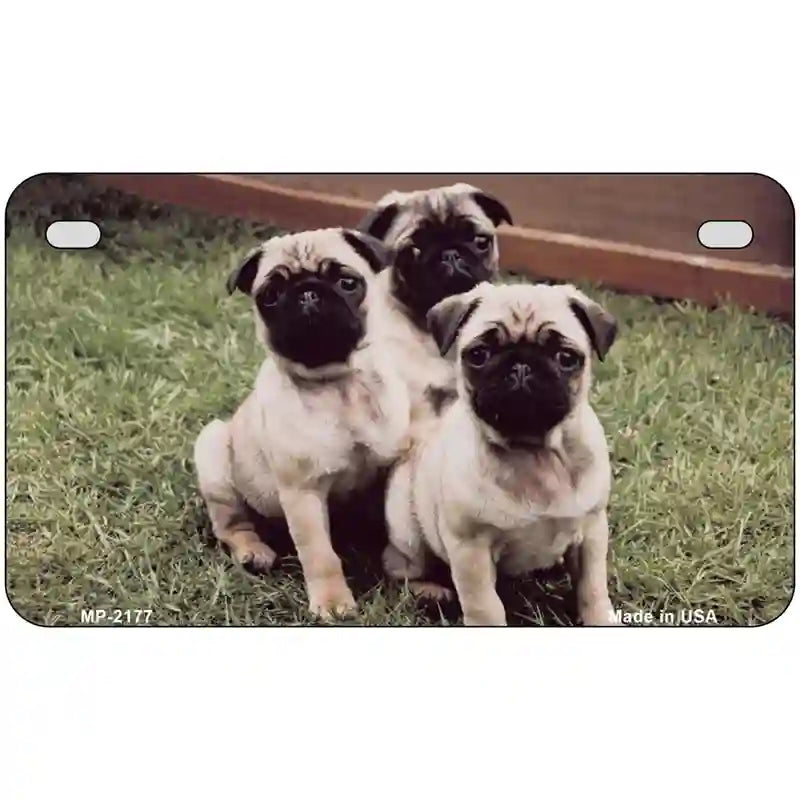 Pug Dog Metal Novelty License Plate 7" x 4" (MP)