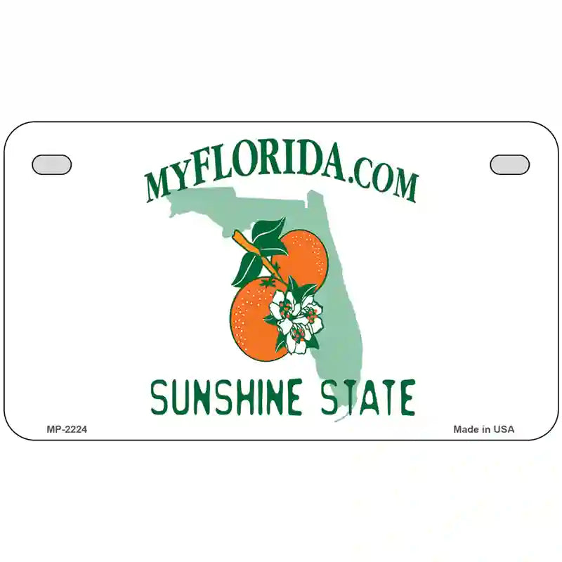 Florida State Blank Novelty Metal License Plate 7" x 4" (MP)