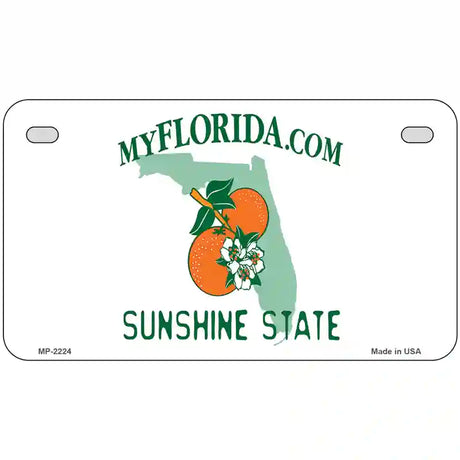 Florida State Blank Novelty Metal License Plate 7" x 4" (MP)