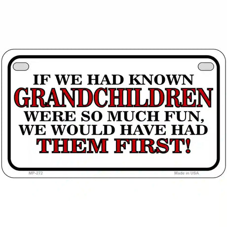 Grandchildren First Metal Novelty License Plate 7" x 4" (MP)