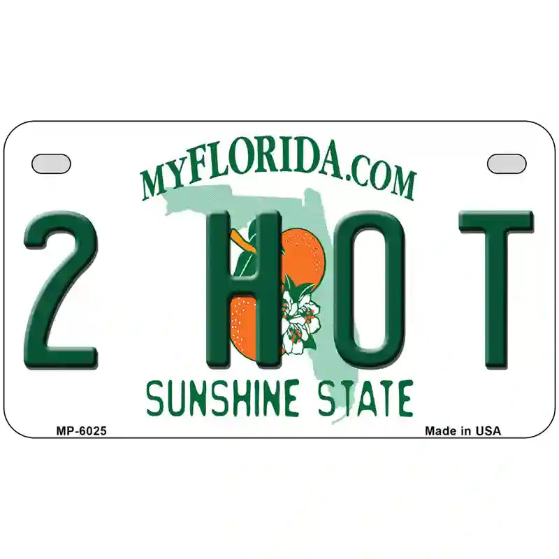 2 Hot Florida Novelty Metal License Plate 7" x 4" (MP)