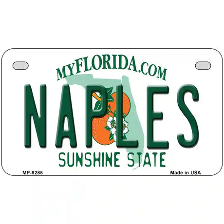 Naples Florida Novelty Metal License Plate 7" x 4" (MP)