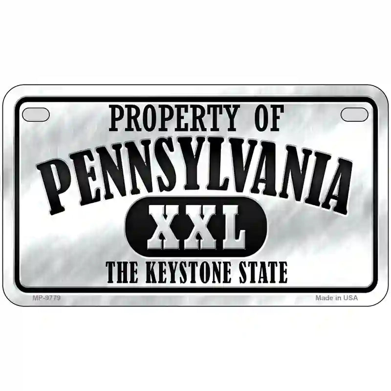 Property Of Pennsylvania Novelty Metal License Plate 7" x 4" (MP)