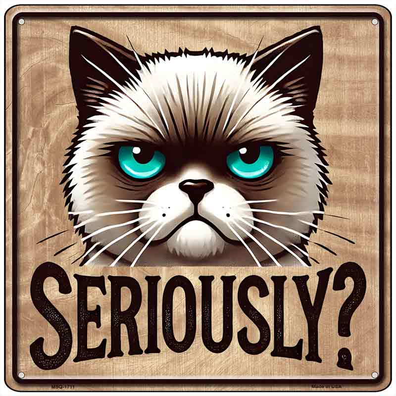 Seriously Novelty Metal Square Sign SQ-1711