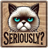 Seriously Novelty Metal Square Sign SQ-1711