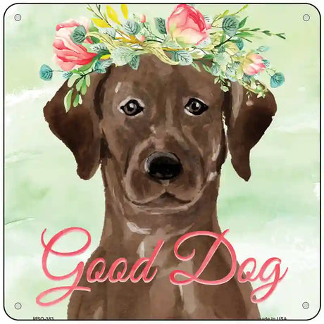 Brown Lab Good Dog Novelty Square Sign 6" (MSQ)