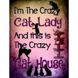 Crazy Cat Lady Metal Novelty Parking Sign 9" x 12" (P)