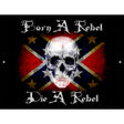 Born A Rebel Metal Novelty Parking Sign 9" x 12" (P)