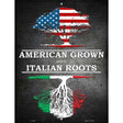 American Grown Italian Roots Metal Novelty Parking Sign 9" x 12" (P)