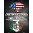 American Grown Irish Roots Metal Novelty Parking Sign 9" x 12" (P)