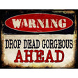 Drop Dead Gorgeous Metal Novelty Parking Sign 9" x 12" (P)