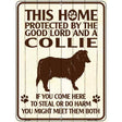 This Home Protected By A Collie Parking Sign Metal Novelty 9" x 12" (P)