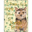 Not A Home Without A Norfolk Terrier Novelty Parking Sign 9" x 12" (P)