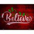 Believe Novelty Metal Parking Sign 9" x 12" (P)