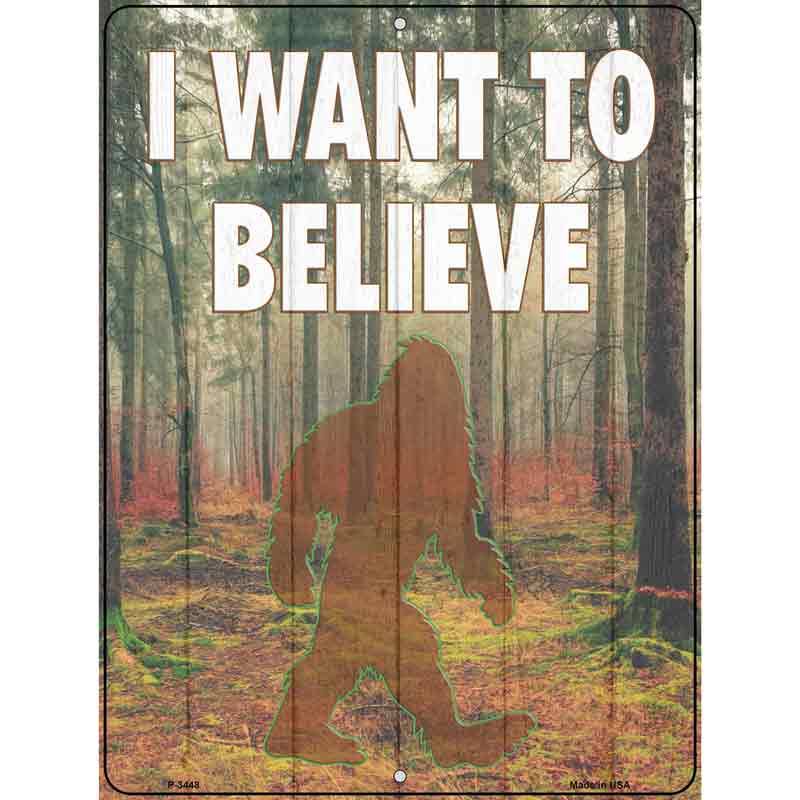 I Want to Believe Novelty Metal Parking Sign 9" x 12" (P)