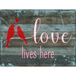 Love Lives Here Novelty Metal Parking Sign 9" x 12" (P)