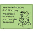 Here in the south, we dont hide crazy E-Card Metal Novelty Parking Sign 9" x 12" (P)