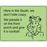 Here in the south, we dont hide crazy E-Card Metal Novelty Parking Sign 9" x 12" (P)