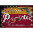 Hello From Florida Novelty Metal Postcard PC-009