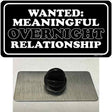 Wanted Meaningful Overnight Relationship Novelty Metal Hat Pin