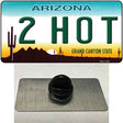 2 Hot Arizona Novelty Metal Hat Pin