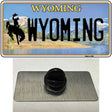 Wyoming Tag Novelty Metal Hat Pin