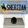 Sheridan Wyoming Novelty Metal Hat Pin