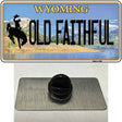 Old Faithful Wyoming Novelty Metal Hat Pin