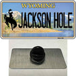 Jackson Hole Wyoming Novelty Metal Hat Pin