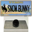 Snow Bunny Wyoming Novelty Metal Hat Pin