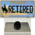 Retired Wyoming Novelty Metal Hat Pin