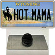 Hot Mama Wyoming Novelty Metal Hat Pin