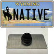 Native Wyoming Novelty Metal Hat Pin