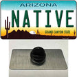 Native Arizona Novelty Metal Hat Pin