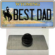 Best Dad Wyoming Novelty Metal Hat Pin