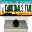 Cardinals Fan Arizona Novelty Metal Hat Pin