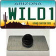 Wild 1 Arizona Novelty Metal Hat Pin