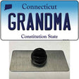 Grandma Connecticut Novelty Metal Hat Pin