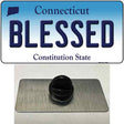 Blessed Connecticut Novelty Metal Hat Pin