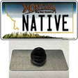 Native Montana State Novelty Metal Hat Pin