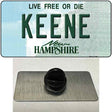 Keene New Hampshire State Novelty Metal Hat Pin