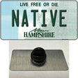 Native New Hampshire State Novelty Metal Hat Pin