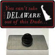 Delaware Dude Novelty Metal Hat Pin