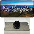 New Hampshire Mountain Range State Novelty Metal Hat Pin