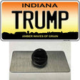 Trump Indiana Novelty Metal Hat Pin