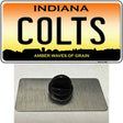 Indiana Colts Novelty Metal Hat Pin