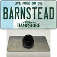 Barnstead New Hampshire State Novelty Metal Hat Pin