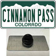 Cinnamon Pass Colorado Novelty Metal Hat Pin