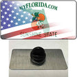 Florida with American Flag Novelty Metal Hat Pin